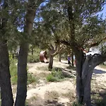Osante לינה וארוחת בוקר 3*