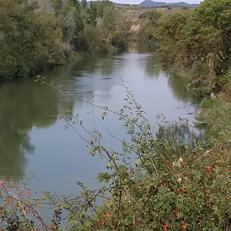 Osante Oda ve Kahvaltı 3*