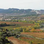 Osante