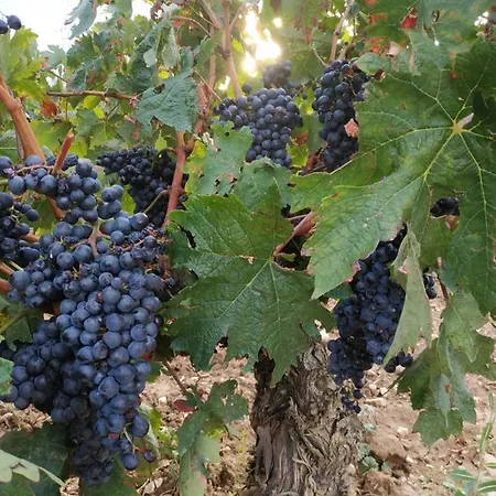 Bed & Breakfast Osante Labastida