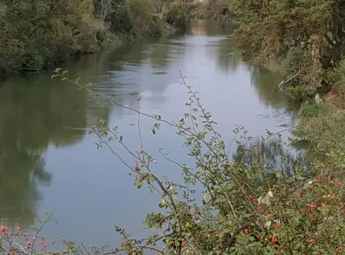 Osante Bed & Breakfast 3*